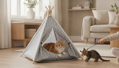 Tipi Chat : Nid Douillet & Design